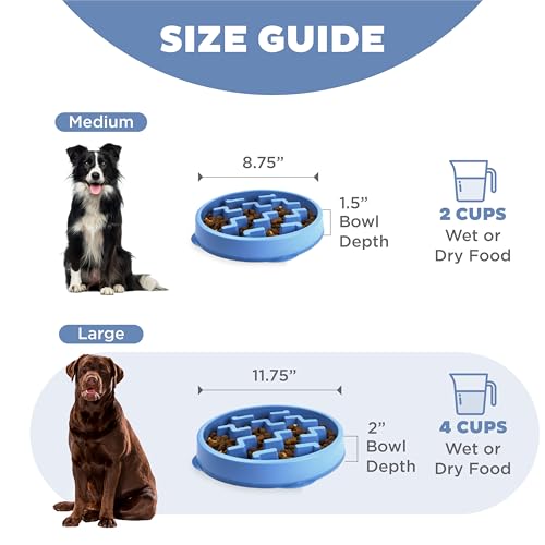 Fun Feeder Slo Bowl (Blue / Large)