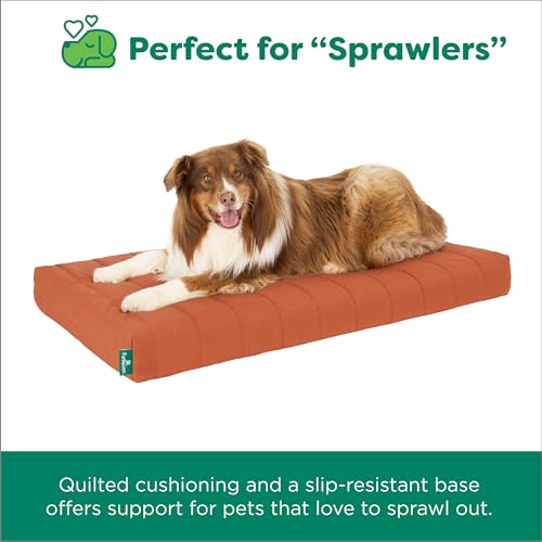 Orthopedic Dog Bed (X-Large / Rust)