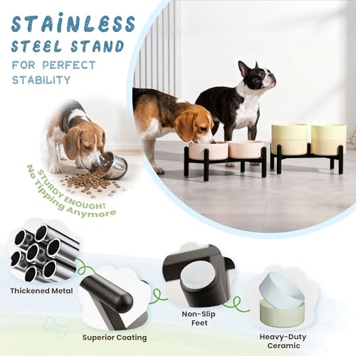 Ceramic Elevated Dog Bowl Set (Blue / 3.5 Cups)