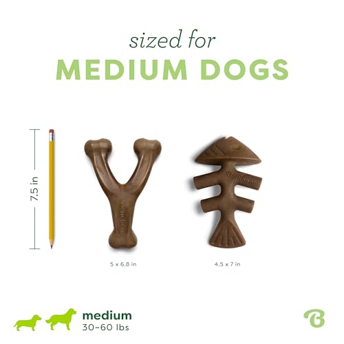 2 pack Fishbone (Medium / Fishbone/Wishbone)