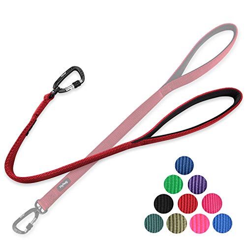 Short Dog Leash 24" (Red / 24 Inches)
