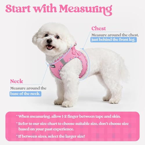 Dog Harness Small Sized and Leash Set (Pink & Plaid Trim / Xs (chest: 13.3 - 15.5"))