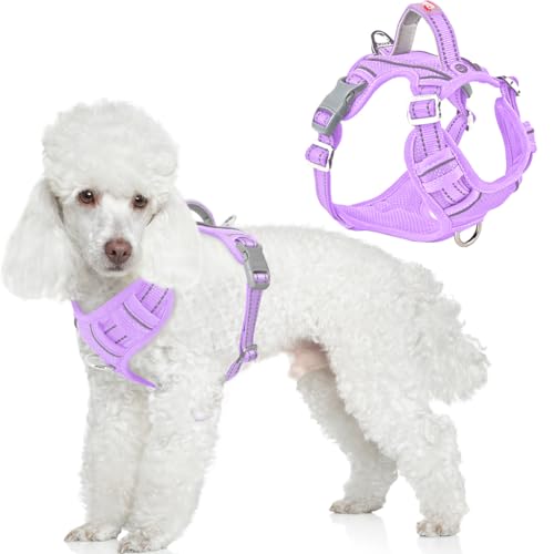 No Pull Dog Harness for Small Sized Dogs (X-Small(Chest:15.5-19.5”) / Violet Purple)