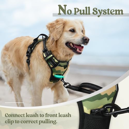 Dog Harness No Pull for Small Dogs with 2 Leash Clips (Small / Green Mountain)