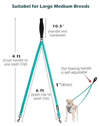 Two Point Control Dog Leash (Turquoise)