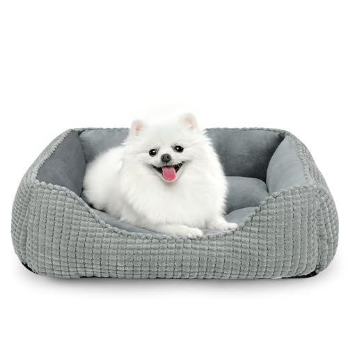 Dog Beds for Medium Dogs Washable (Light Gray / M(25’’x 21’’x 8’’))