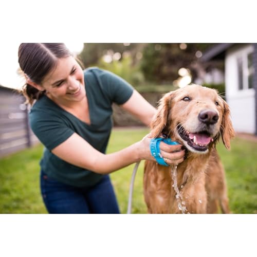 Dog Bath Brush Pro & Dog Shower Attachment (Large)