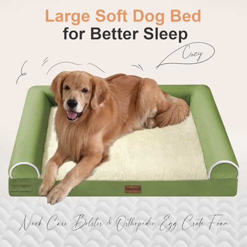 Orthopedic Dog Bed for Large Dogs (Grass Green / 36.0"L x 27.0"W x 6.5"Th)