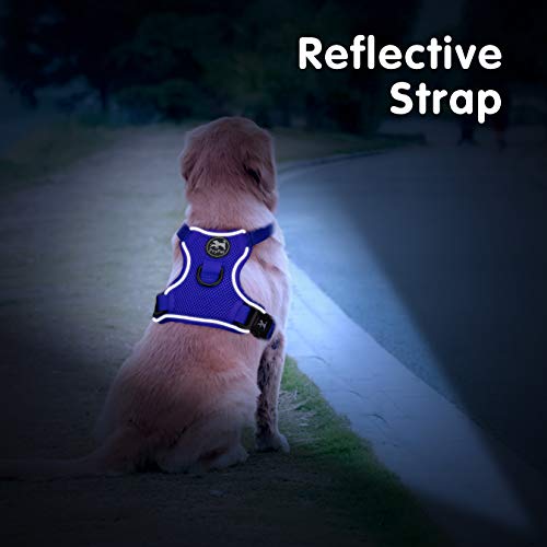 Mesh Dog Harness (M / Royal Blue)