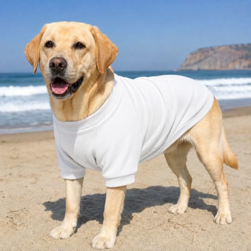 Ribbed Dog T Shirt Cotton Knitted Dog Sweaters for All Season Pet T (3XL (for Large Dog) / Off white)