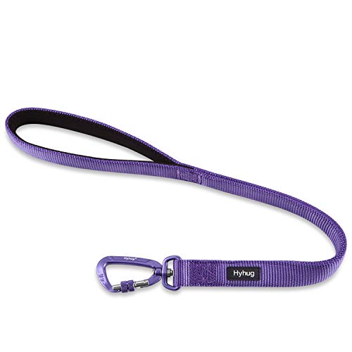 Short Dog Leash 24" (Ultra Violet / 24 Inches)