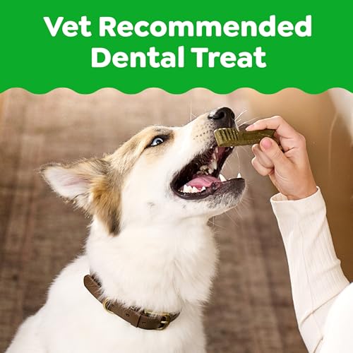 Large Natural Dental Dog Treats (34 Count (Pack of 1))