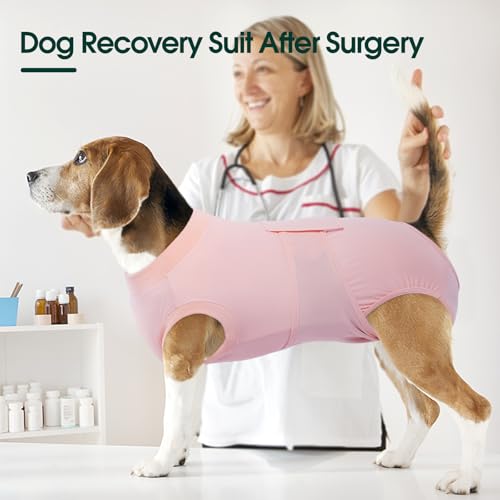 Dog Recovery Suit (Cooling Pink / Large)