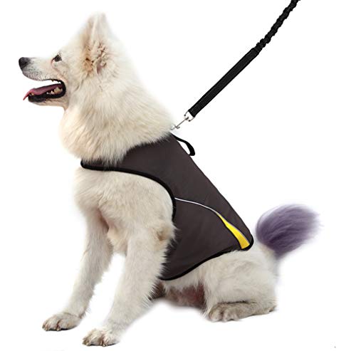Dog Anxiety Jacket (Gery / XL (Pack of 1))