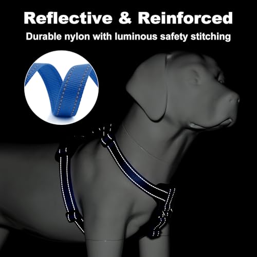 No Pull Dog Harness with Leather Accents (XL / Royal Blue)
