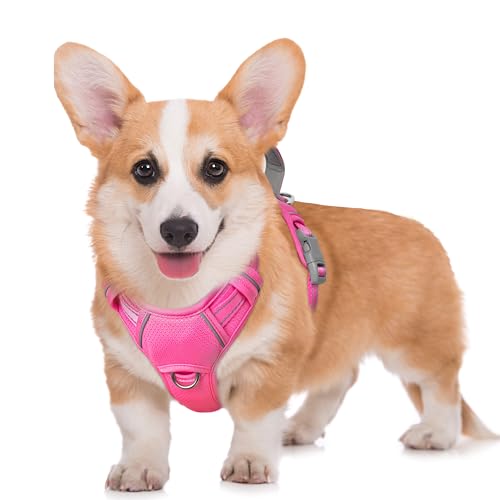 Dog Harness for Medium Sized Dog No Pull Dog Vest ID Tag Pocket (Pink / Medium)