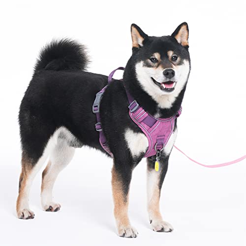 Dog Harness No (XS (Doesn't include O rings(Chest: 12"-17" )) / Orchid Purple)
