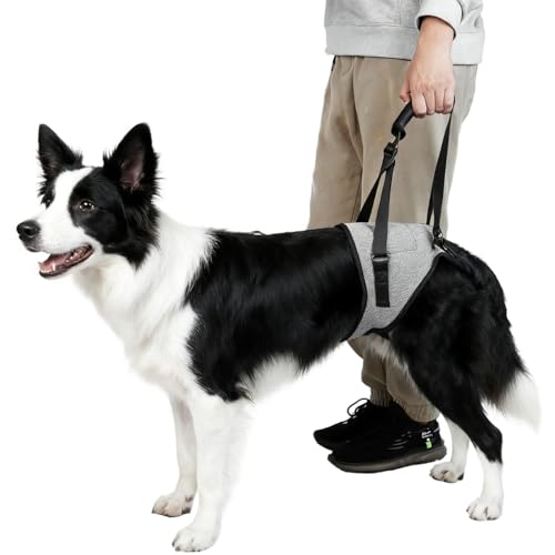 Dog Lift Harness for Dogs (Large / Grey)