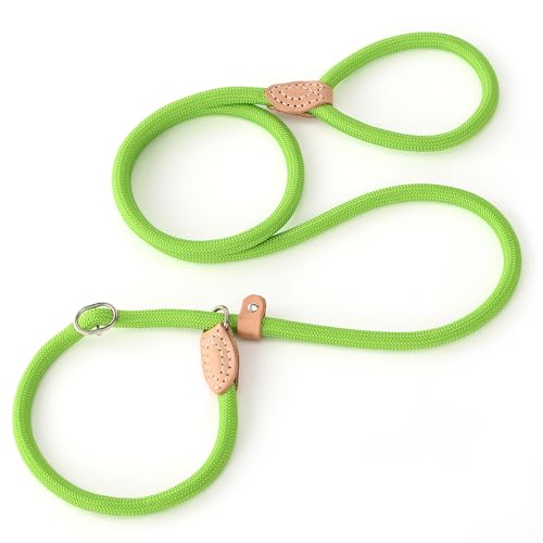 Heavy Duty Slip Lead No Pull Leash 6 (Lime Green / 6 Feet)