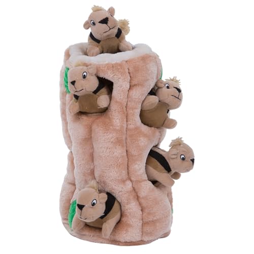 Hide-A-Squirrel Plush Squeaky Dog Toy, XL, 7" x 11.8" (Squirrel Xlarge / X Large (Pack of 1))