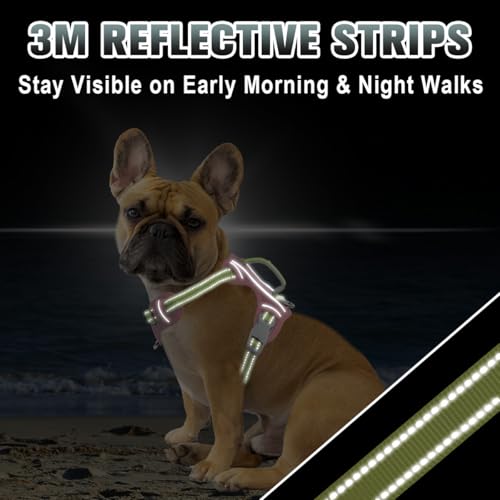 Dog Harness for Small Sized Dog No Pull Dog Vest ID Tag Pocket (Baby Pink & Sunlight / X-Small)