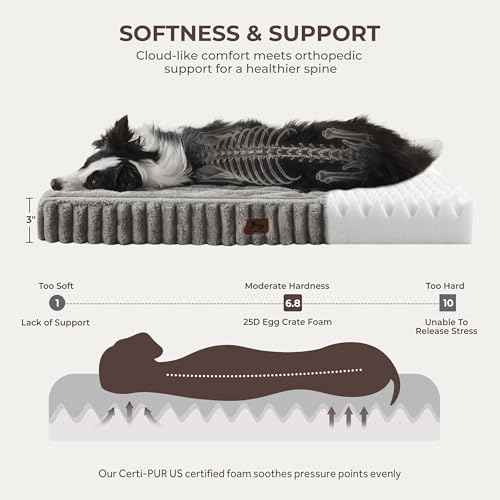 Orthopedic Large Dog Bed (Grey / L(35x22x3"))