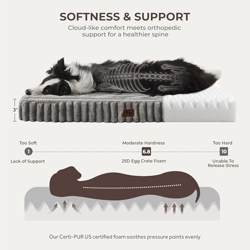 Dog Bed Small Sized for Crate (Grey / S(23x18x3"))