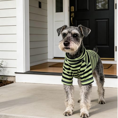 Turtleneck Dog Shirt Cute Doggie Embroidery Super Soft Dog Sweatshirt Stretchy Striped Puppy Pullover for Cats Small Medium Large Dogs (Green Striped / X-Large)