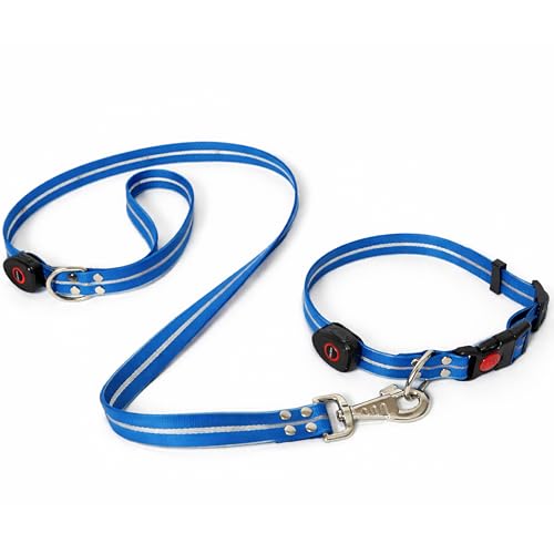 LED Dog Collar & 4 Foot Leash (Blue)
