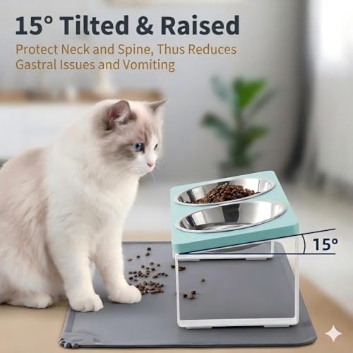 Upgraded Elevated Cat Bowls with Food Mat