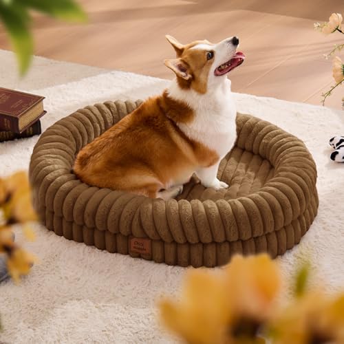Orthopedic Dog Bed (Brown / L(35*28*7))