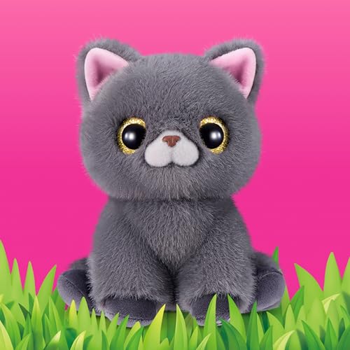 Smitten Kittens Series 2 (British Shorthair)
