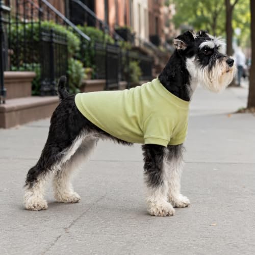 Ribbed Dog T Shirt Cotton Knitted Dog Sweaters for All Season Pet T (XL (for Medium Dog) / Chartreuse)