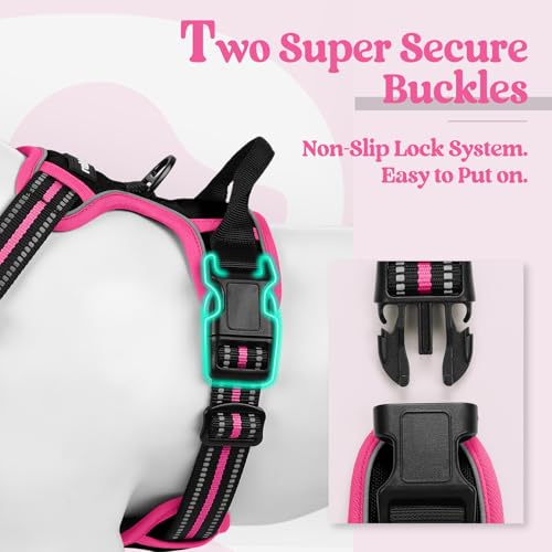 Dog Harness No Pull Medium Sized with 2 Leash Clips (Medium / Black & Hot Pink)