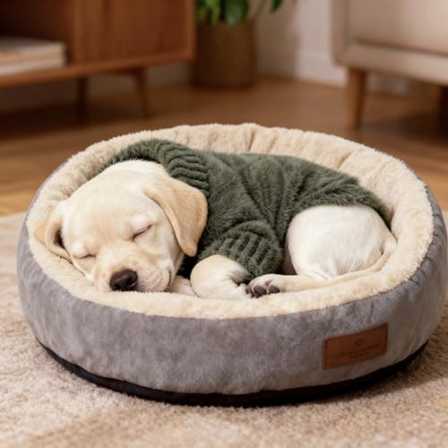 Small Dog Furry Pullover Sweater (F Green(Order One Size Up) / X-Large)