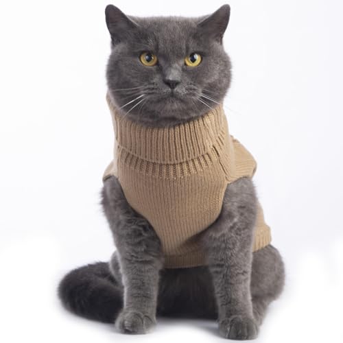 Cat Sweater Stretchy (Khaki / Small)