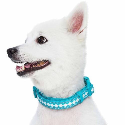 3 Colors 3M Reflective Jacquard Neoprene Padded Adjustable Dog Collar (Small / Polyester Buckle- Peacock)