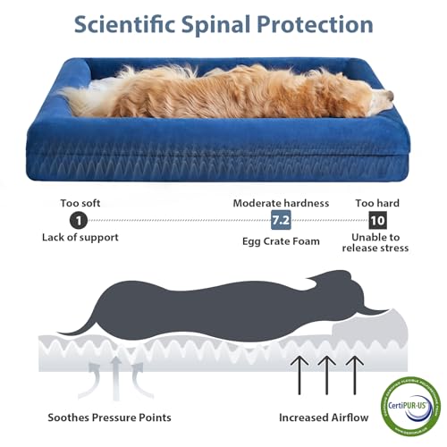 XXL Extra Large Orthopedic for Senior Dog BedComfy Sleeping (Blue / XX-L (45x35x7in))