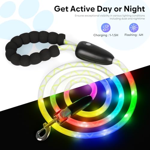 LED Light Up Dog Leash (Multi-Color / 6FT)