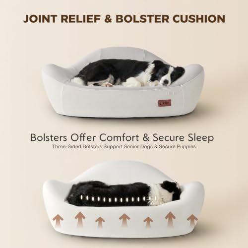 45D Orthopedic Memory Foam Dog Bed Sofa with 2 Washable Cover Green (Green+Beige)