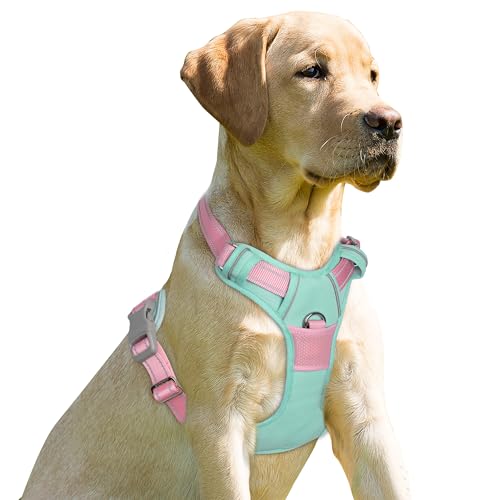 Dog Harness No Pull for Large Dogs Front Back Clips (Large(Chest:24.5-32.5") / Cool Mint & Baby Pink)