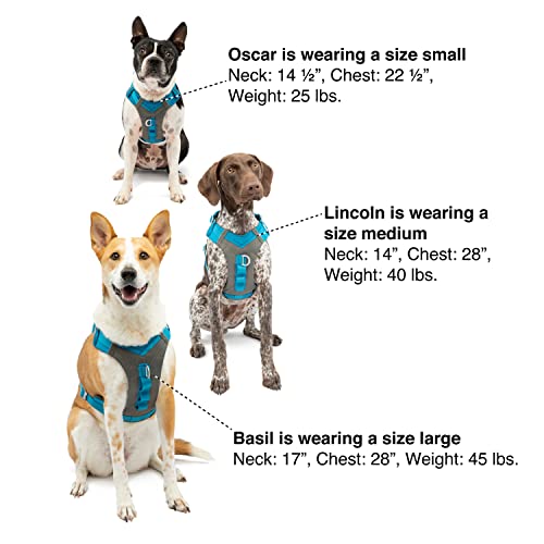 Journey Air Dog Harness (Large / Red)