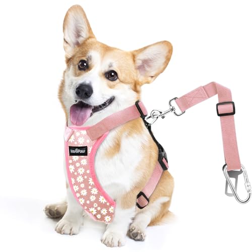 Dog Seat Belt (Pink Daisy / M (Chest: 19.7-26.4", Neck: 12.6-20.5"))