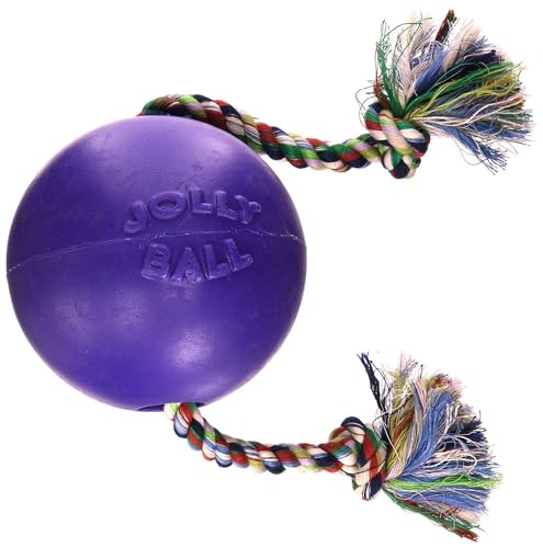 Romp-N-Roll Rope & Ball Dog Toy, 4.5 in Small, Purple (Purple / Small (4.5 in))