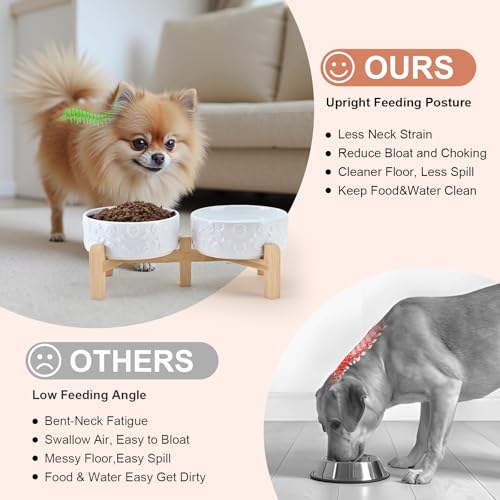 Elevated Dog Bowls Ceramic (5.1 in - 1.7 cups / White - Skull)