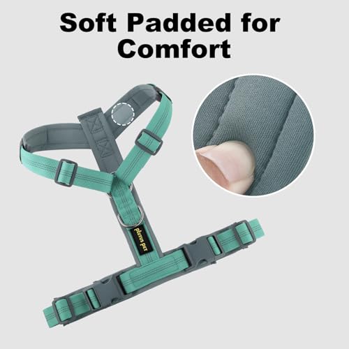 No Pull Dog Harness (S / Teal)