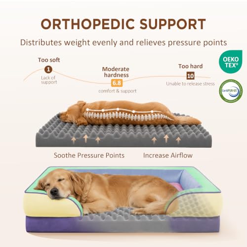 Orthopedic Dog Bed for Extra Large Dogs with Bolster (42.0"L x 30.0"W x 8.5"Th / Frosted Grape)