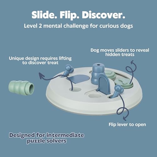 Flip Board Dog Activity Interactive Toy (Flip Board / Level 2)