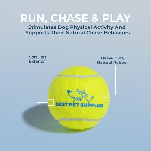 Interactive Squeaky Dog Chew Toy (Tennis (Yellow) / Small)