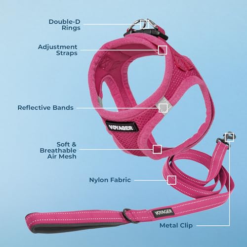 Voyager Step in Air All Weather Mesh Harness and Reflective Dog 5ft Leash Combo with Neoprene Handle (Fuchsia / M (Chest: 16 - 18"))